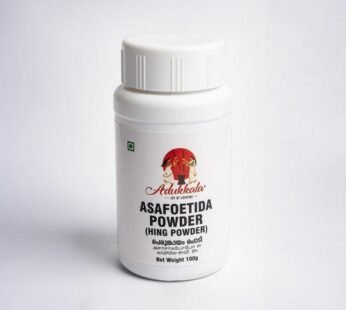 ADUKKALA Asafoeitida Powder 100g